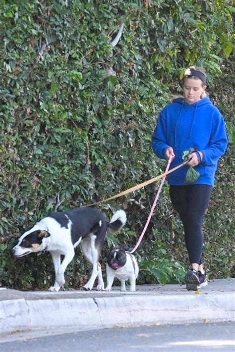 Ava Phillippe - Walking Her Dogs in LA 07/30/2021 • CelebMafia