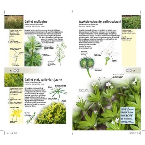 300 Plantes Comestibles