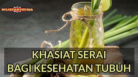 Khasiat Serai Bagi Kesehatan Tubuh YouTube