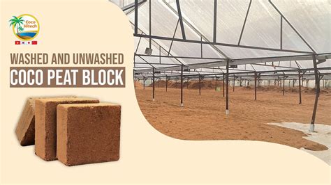 amazing production  coco peat block  viet nam youtube