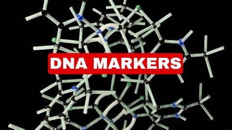 Dna Markers Explained Genetic Engineering Youtube