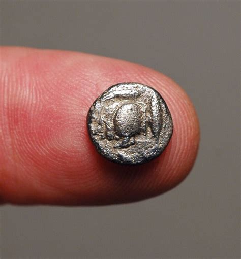 G Mysia Kyzikos Circa Bc Ar Di Obol Roaring Lion Boar