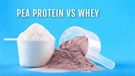 Pea Protein Vs Whey An Unbiased Comparison Nutritioneering