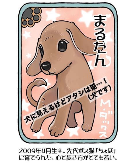 今日の山野絵 山野家登場犬猫紹介カード 固定ツイ用に今日から毎日 たぶん 更新します 1日目は最年長のまるたん山野りんりん猫や