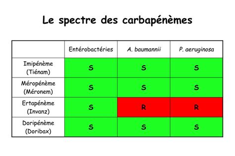 PPT La résistance aux carbapénèmes PowerPoint Presentation free