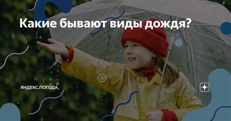 Какие бывают виды дождя? | Яндекс.Погода | Дзен