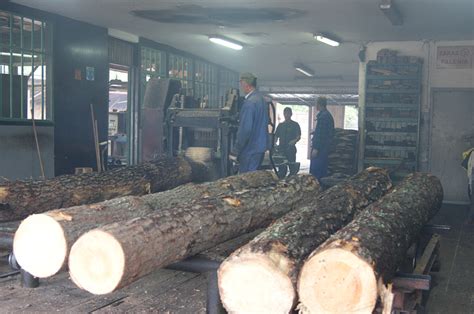 Galeria Tartacznictwo Tartak Jastkowice Stalowa Wola Rzeszów