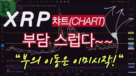 기관투자 몰려든다ㅣ똑똑한 소비자는 Xrp를 얻는다 Youtube