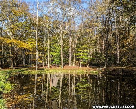 9 Must See Attractions In The Forbes State Forest