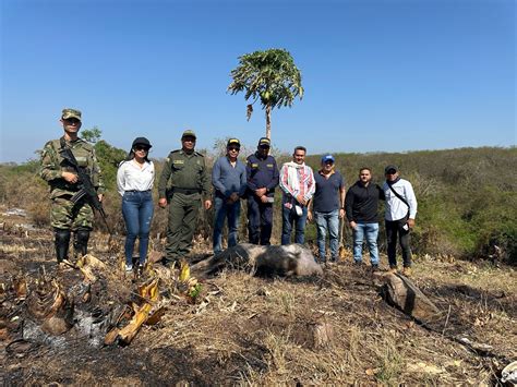 La Jagua del Pilar toma medidas drásticas contra la quema y tala