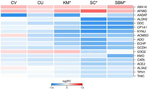 Regulation Of Tryptophan Metabolism Heat Map Showing The Mean Gene