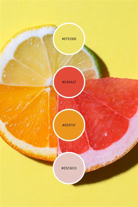 Summer Fruit Color Palette In 2024 Food Colors Palette Color Palette