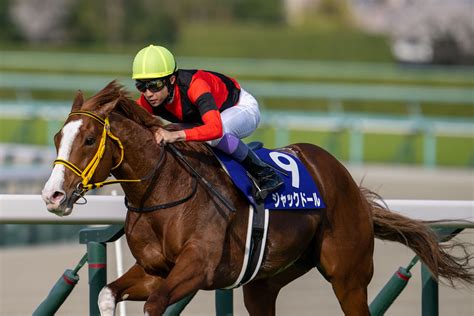 先週の競馬 東っくすの平凡人生論