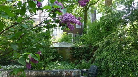 De Binnentuin De Halve Wereld Vroege Vogels Bnnvara