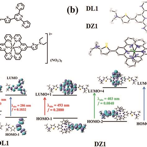 (a) Structures of DL1 and DZ1. (b) Crystal structures of DL1 and DZ1 (H ...