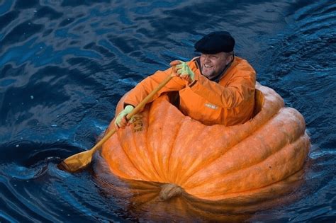 Pumpkin boat speed +100 comfort +200 : r/ItemShop