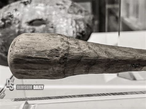 Discovered Object At Roman Fort On Hadrian S Wall In U K May Have Been A Second Century Sex Toy