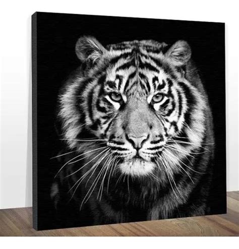 Marco Decorativo Midiapoparte Con Dise O De Tigre Blanco Y Negro X