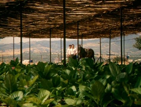 I Daskala Me Ta Xantha Mallia 1969 The Teacher With The Blonde Hair