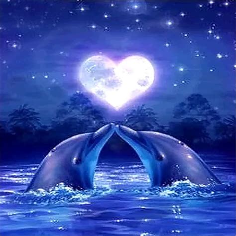 List Pictures Beautiful Sunsets On The Beach With Dolphins Updated