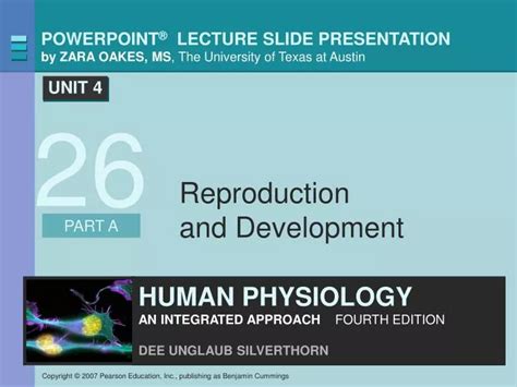 PPT Understanding Sex Determination And Reproduction Process PowerPoint Presentation ID 3223849