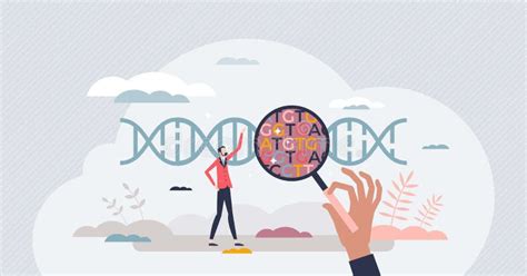 Genomics As Structure Function And Evolution Genomes Tiny Person Concept Stock Vector