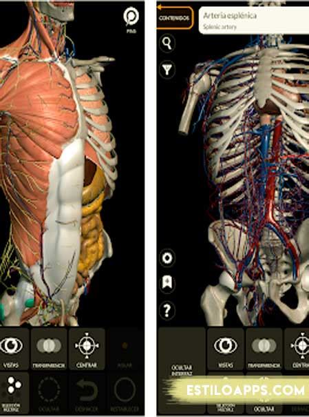 Aplicaciones Para Ver Cuerpo Humano 3d ¿cual Elegir【 2024