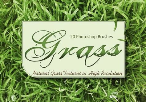 15 Grass Photoshop Brushes Textures And Patterns Shack Design