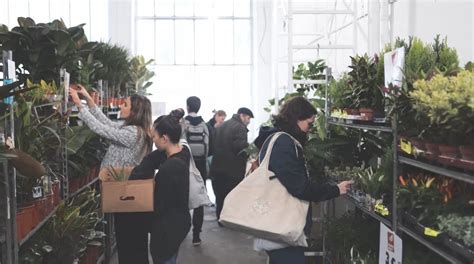 Bon Plan Une Grande Vente De Plantes Partir D Euro Ce Samedi Lille