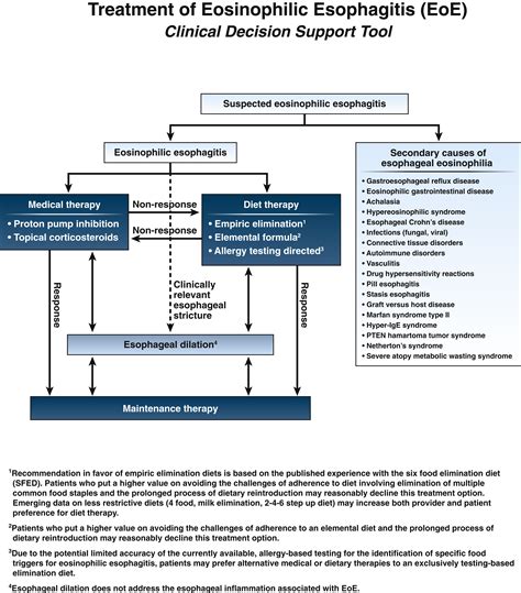 Treatment of Eosinophilic Esophagitis (EoE) - Gastroenterology