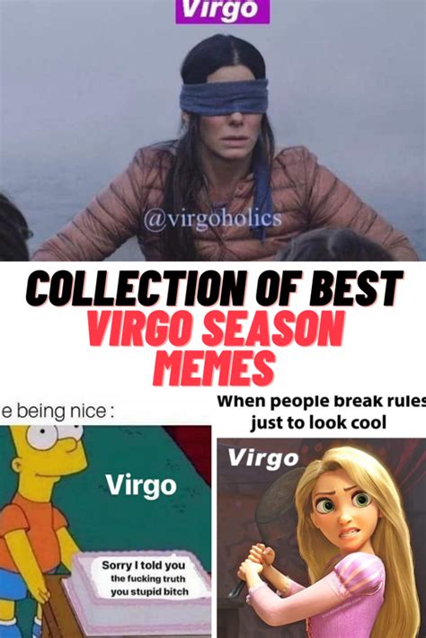 Collection Of Best Virgo Memes Virgo Season