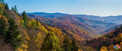 Fall Foliage in Gatlinburg, TN | Elk Springs Resort