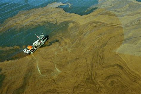 Brine Shrimp Harvests Great Salt Lake Ecosystem Program