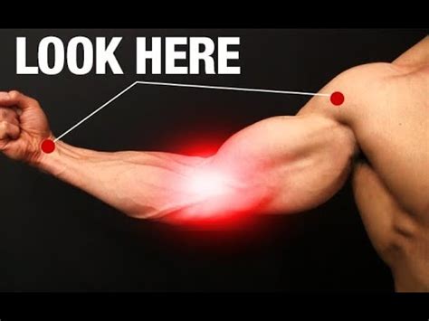 How to Fix Elbow Pain (ONE SIMPLE EXERCISE!) | ATHLEAN-X