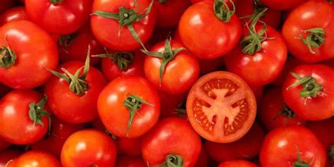 Томат Хали-Гали: характеристика, описание сорта, отзывы