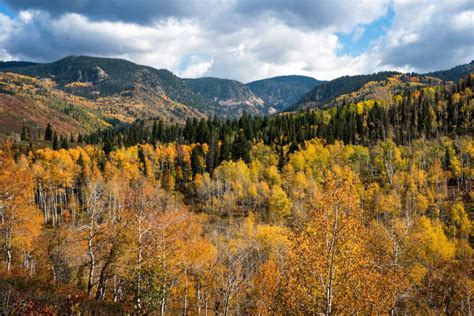 Your Ultimate Guide to Colorado Fall Foliage - Minneopa Orchards