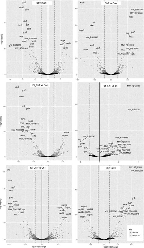 Gene Ontology Go Analysis Of Upregulated A And Downregulated B Download Scientific