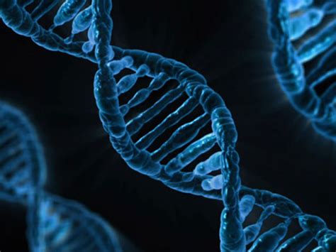 Amazing Facts About DNA - Boldsky.com 