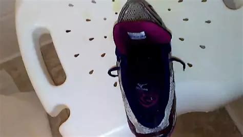 Jackandcoke1947 Flats Get Pissed Free HD Videos HD Porn 75 XHamster