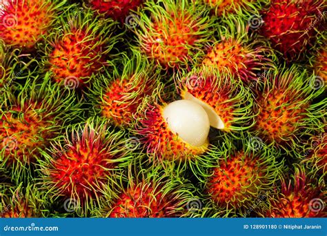 Thai Rambutan No06 Stock Photo Image Of Delicious 128901180