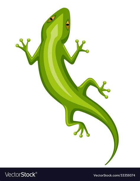 Cartoon gecko character small green lizard Vector Image