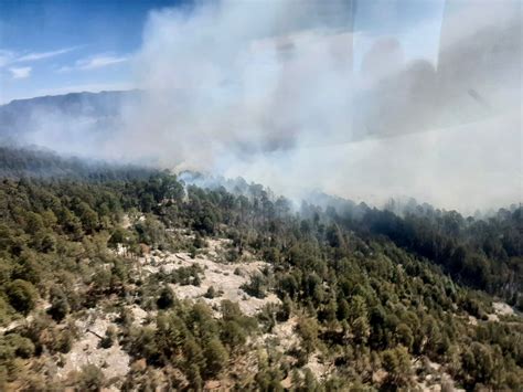 Durango Hay Más Incendios Forestales Pero Menos Afectación