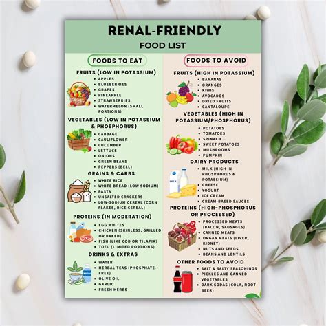 Renal-friendly Food List Printable, Kidney-friendly Foods Chart, Low