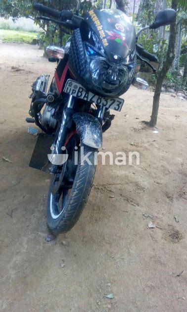 Bajaj Pulsar For Sale In Bibile Ikman