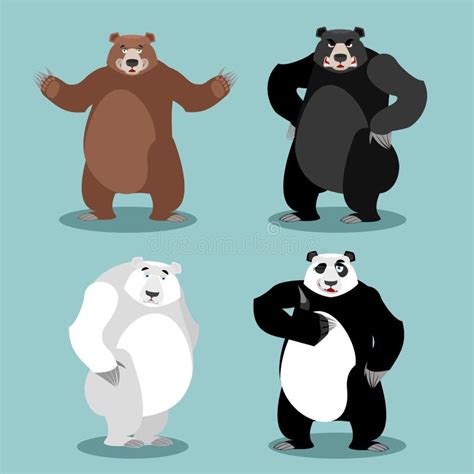 Bear Bear Brown Panda Polar Stock Illustrations 583 Bear Bear Brown