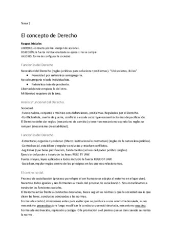 Teoria Del Derecho Tema 1 Pdf