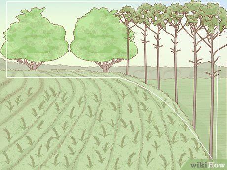 Easy Ways to Help Prevent Desertification: 12 Steps