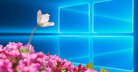 Instructions For Installing Windows 10 Spring Creators Update