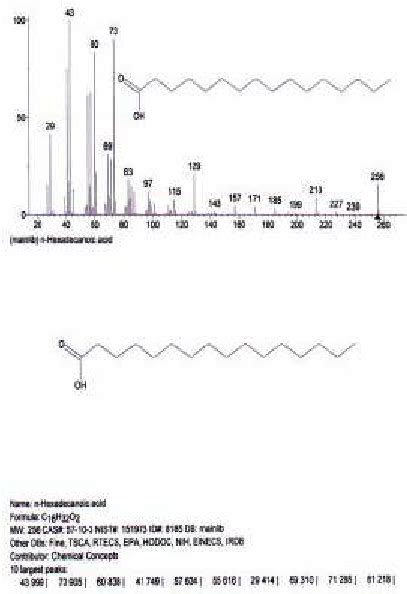 Ms Spectrum Profile Of The N Hexadecanoic Acid Analyzed From Nist