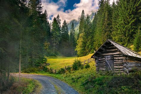 Landscapes Forest Nature Autumn Mood Free Image From Needpix